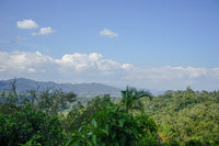SAVE 40% 500g-4kg Ethiopia Sidamo Single Origin